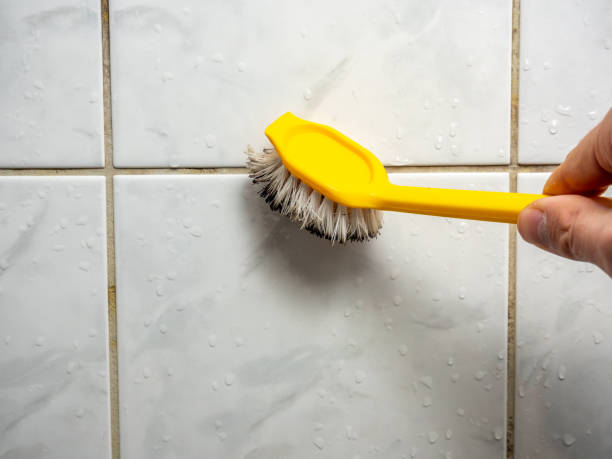Best Local Mold Removal Service  in Cornwells Heights, PA