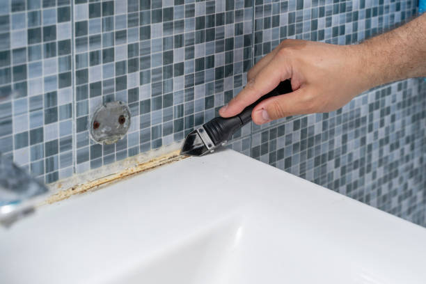 Best Residential Mold Removal  in Cornwells Heights, PA