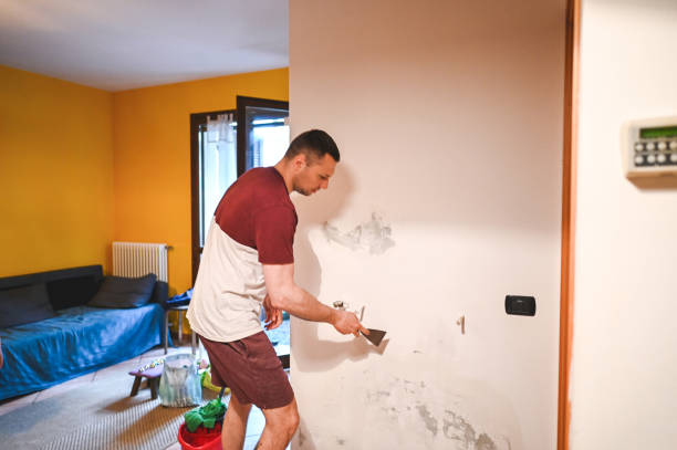 Best Home Mold Removal  in Cornwells Heights, PA